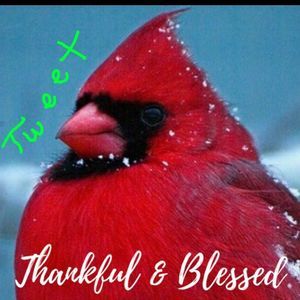 Meet your Posher, Sherilyn ann